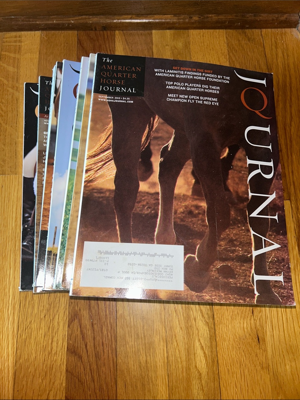 American Quarter Horse Journal Magazine Lot 2013-2014 12 magazines